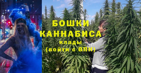 дурь Богородицк