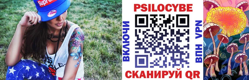 Псилоцибиновые грибы прущие грибы  Дубна 